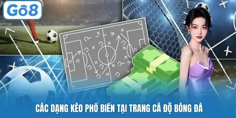 Các dạng kèo phổ biến tại trang cá độ bóng đá
