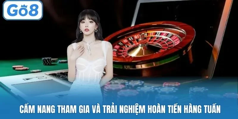 Cẩm nang tham gia và trải nghiệm hoàn tiền hàng tuần