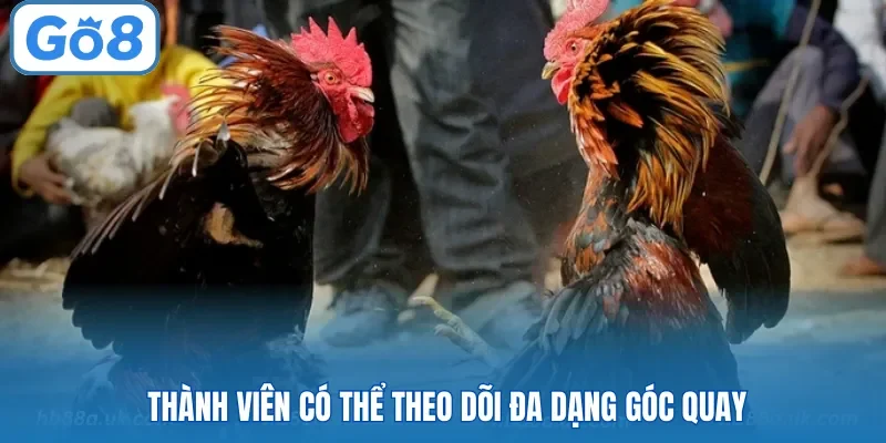 Thành viên có thể theo dõi đa dạng góc quay