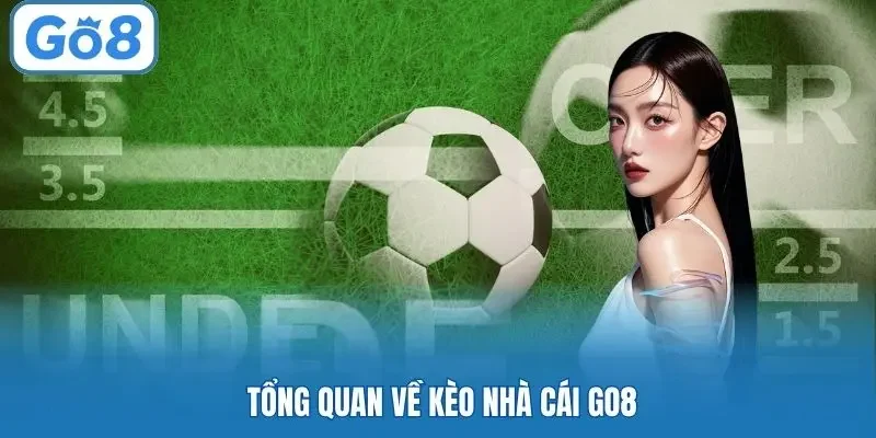 Tổng quan về kèo nhà cái GO8